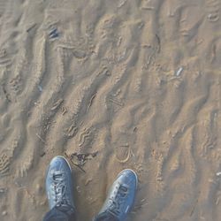 Low section of person standing on beach