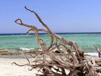 Scenic view of sea against clear sky