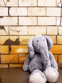 Close-up of stuffed toy against wall