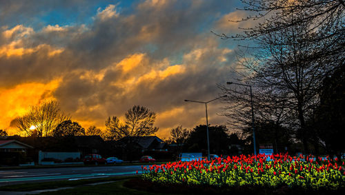 View of road against cloudy sky at sunset