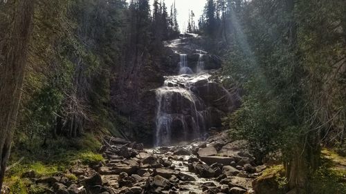 Scenic view of waterfall in forest