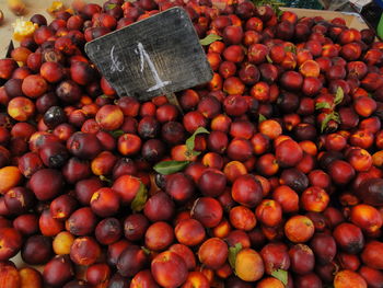 Close-up of nectarines