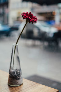 Close-up of flower vase on table