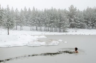 Snow covered land and trees during winter and a man swimming in a frozen lake