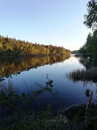 Scenic view of lake in forest against clear sky