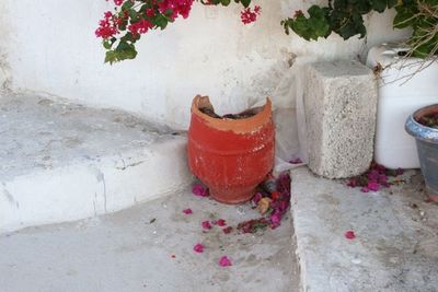 High angle view of potted plants on wall