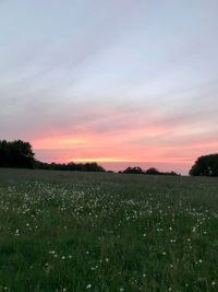 Scenic view of field against sky during sunset