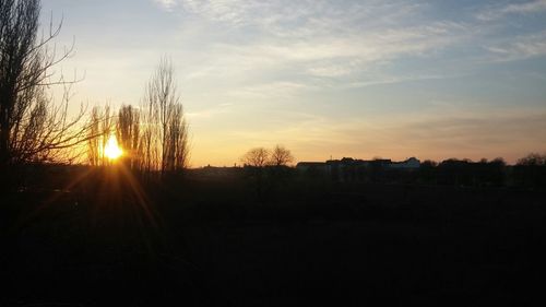 Silhouette of trees at sunset