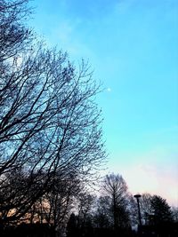 Low angle view of bare tree against sky