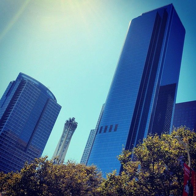 building exterior, low angle view, skyscraper, architecture, built structure, modern, city, tall - high, office building, tower, growth, clear sky, blue, building, tree, tall, sky, financial district, sunlight, day