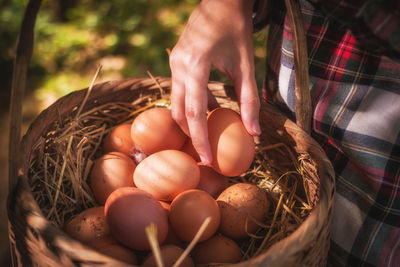 Midsection of person holding egg over wicker basket at farm