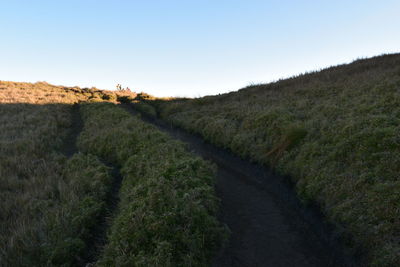 Scenic view of grassy field against clear sky