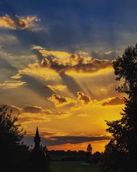 Silhouette trees against sky during sunset