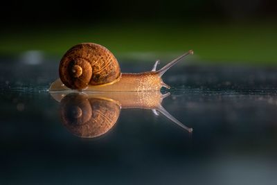 Heureux sous la pluie