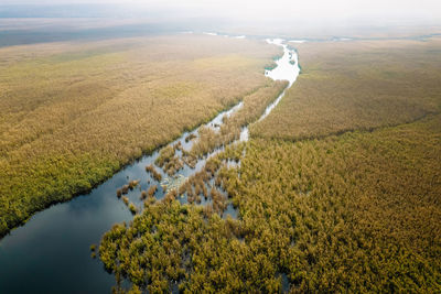 Aerial view of delta in autumn