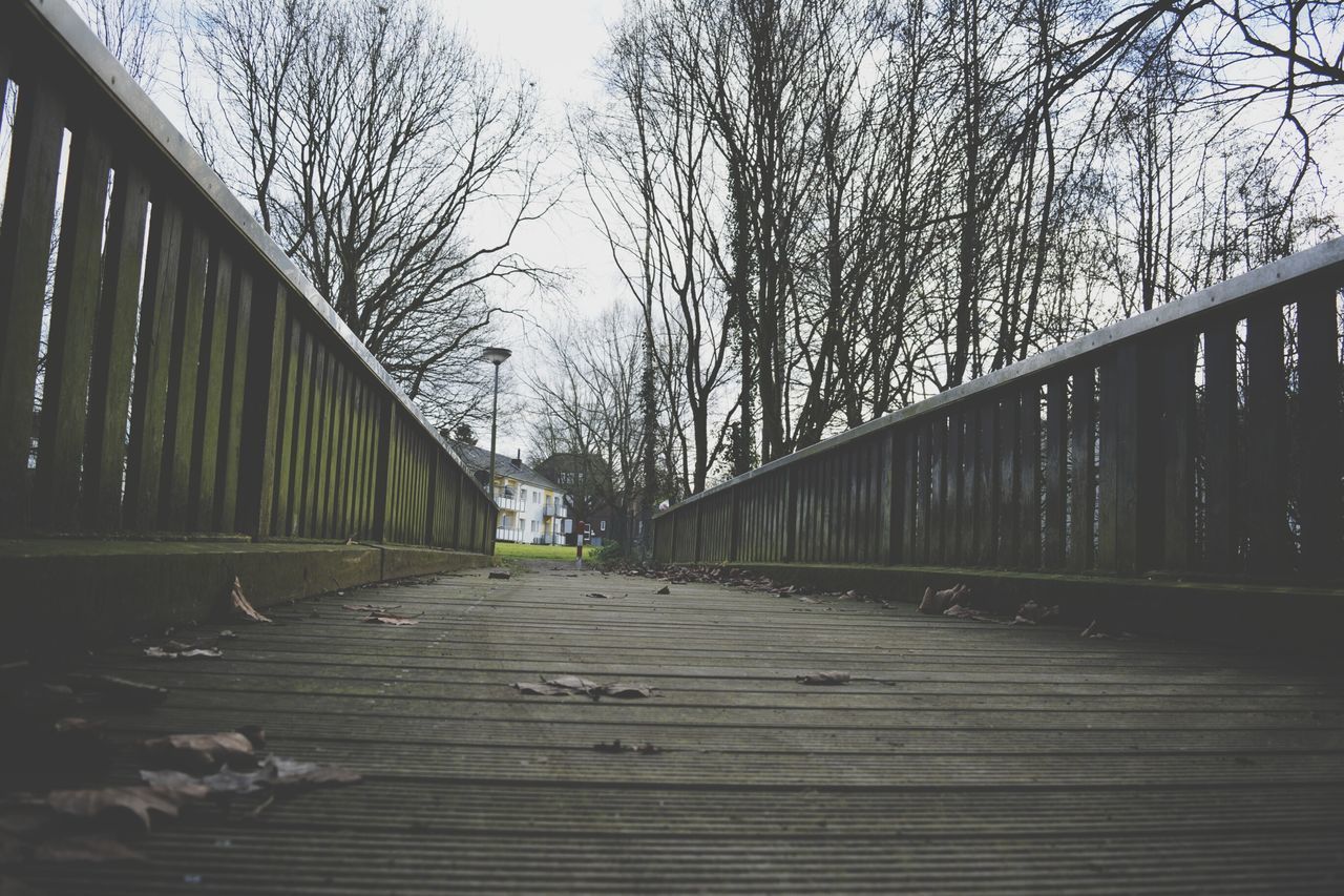 FOOTBRIDGE AMIDST BARE TREES