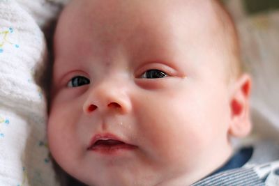 Portrait of cute baby lying on bed 