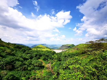 Scenic view of trees and mountains against sky