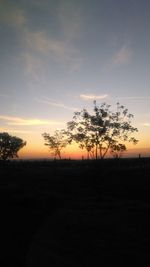 Silhouette trees on field against sky at sunset