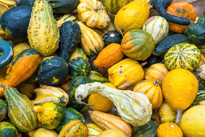 Full frame shot of pumpkins for sale at market