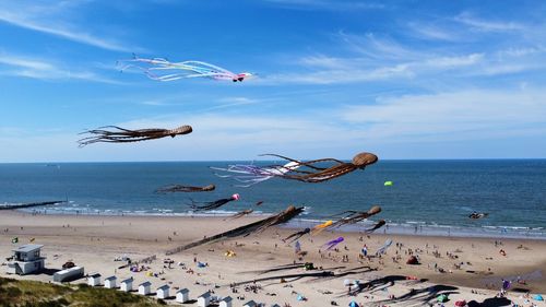 Kites at beach against sky