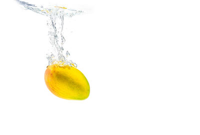 Close-up of yellow fruit against white background