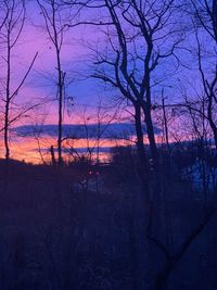 Silhouette bare trees against sky at sunset