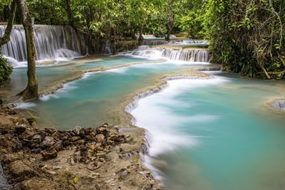 Scenic view of waterfall in forest