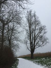 Bare trees by river against sky during winter