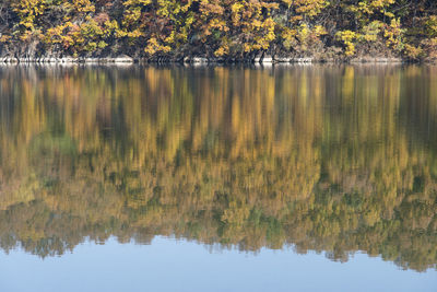 Scenic view of lake by trees against sky