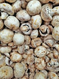 Full frame shot of mushrooms