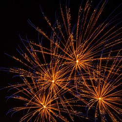 Low angle view of firework display at night