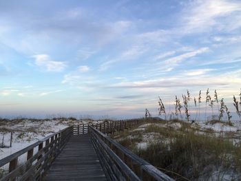 Boardwalk amidst trees against sky