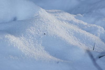 View of snow covered landscape