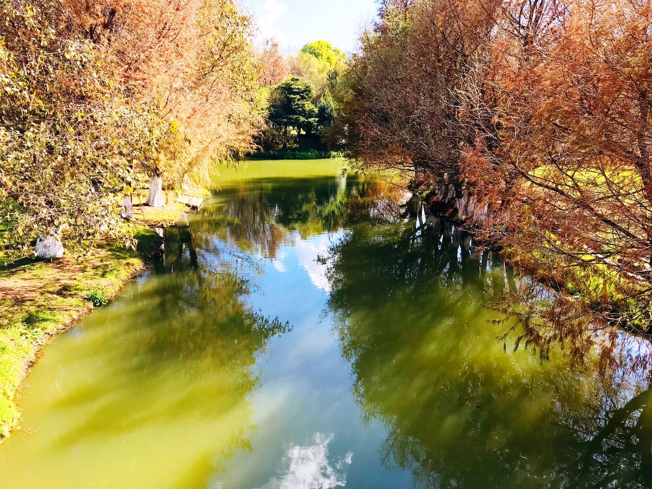 SCENIC VIEW OF LAKE AGAINST TREES DURING AUTUMN