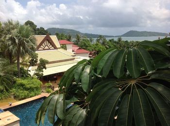 Panoramic shot of plants and trees by building against sky