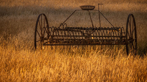 Antique hay rake in a farmers field at sunset.