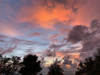 Low angle view of silhouette trees against dramatic sky