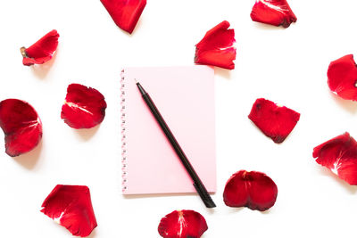 High angle view of roses against white background