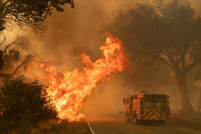 Fire truck extinguishing forest fire