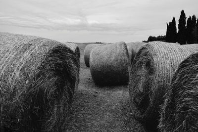 Hay bales on field against sky
