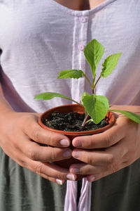 Midsection of woman holding potted plant