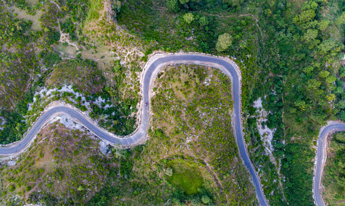 High angle view of road passing through trees