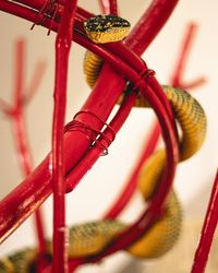 Close-up of metal tied hanging on rope