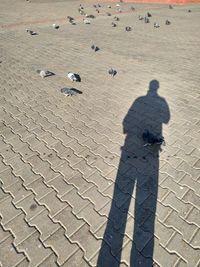 High angle view of shadow on beach