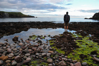 Rear view of man standing on rock at beach