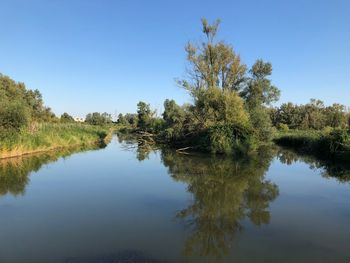 Reflection of trees in lake against clear sky