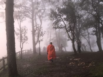 Rear view of woman standing in forest