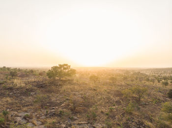 Scenic view of field against clear sky during sunset