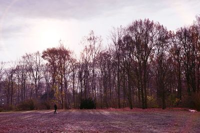 Trees on field against sky during autumn